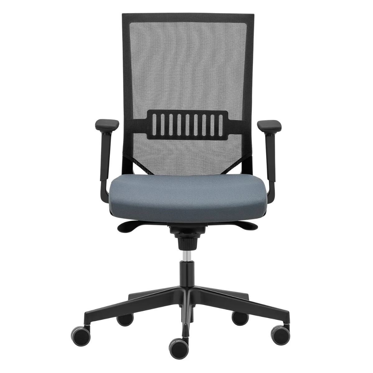 Detailansicht der Lumbalstütze und Netzrücken des RIM Easy Pro