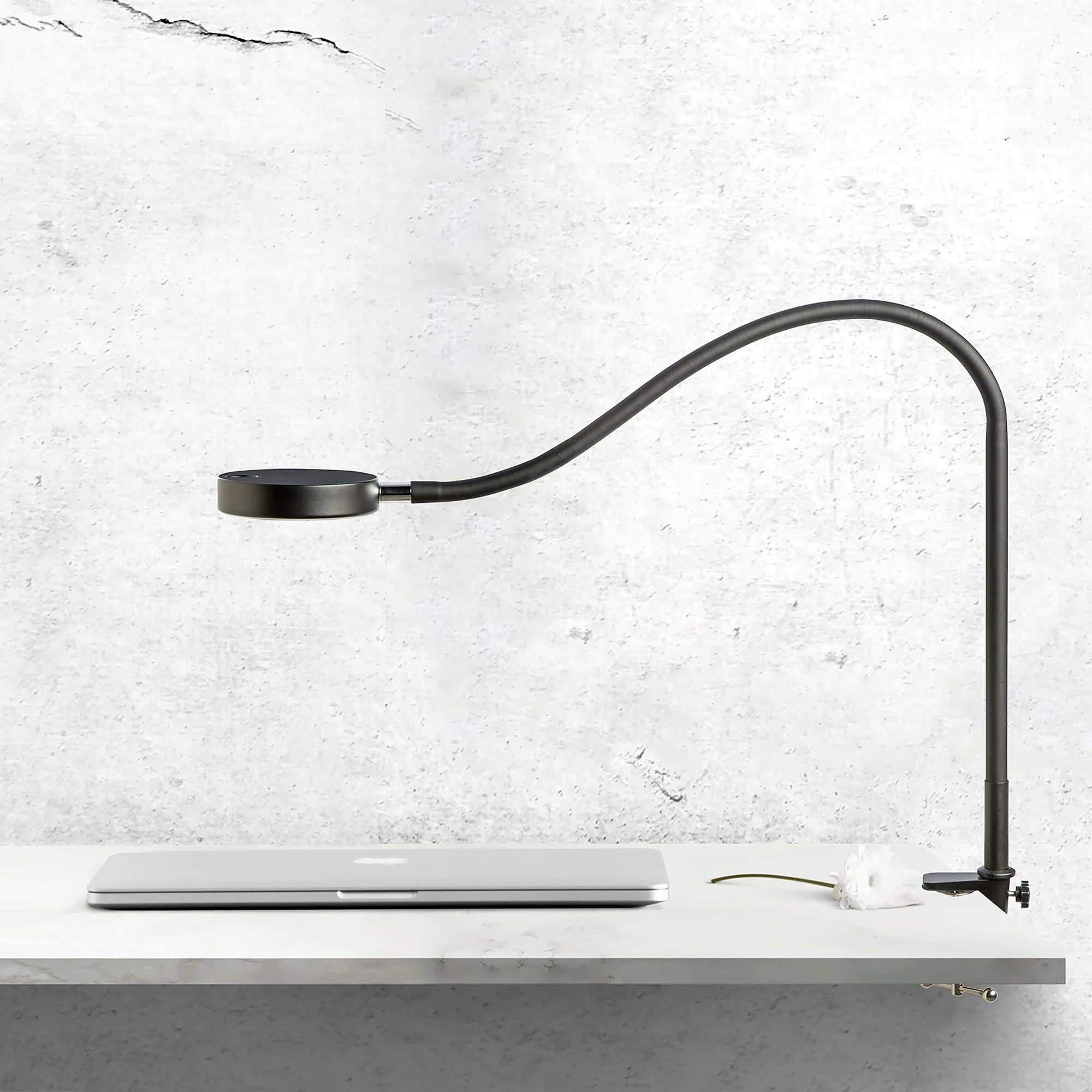 Tischleuchte Flexiled mit Klemme - Schwarz von Kos Lightning - Produktbild 2 von 7