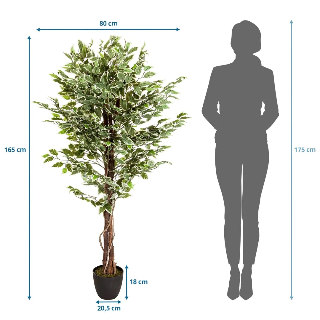 Kunstpflanze FICUS von HJH - Produktbild 8 von 8