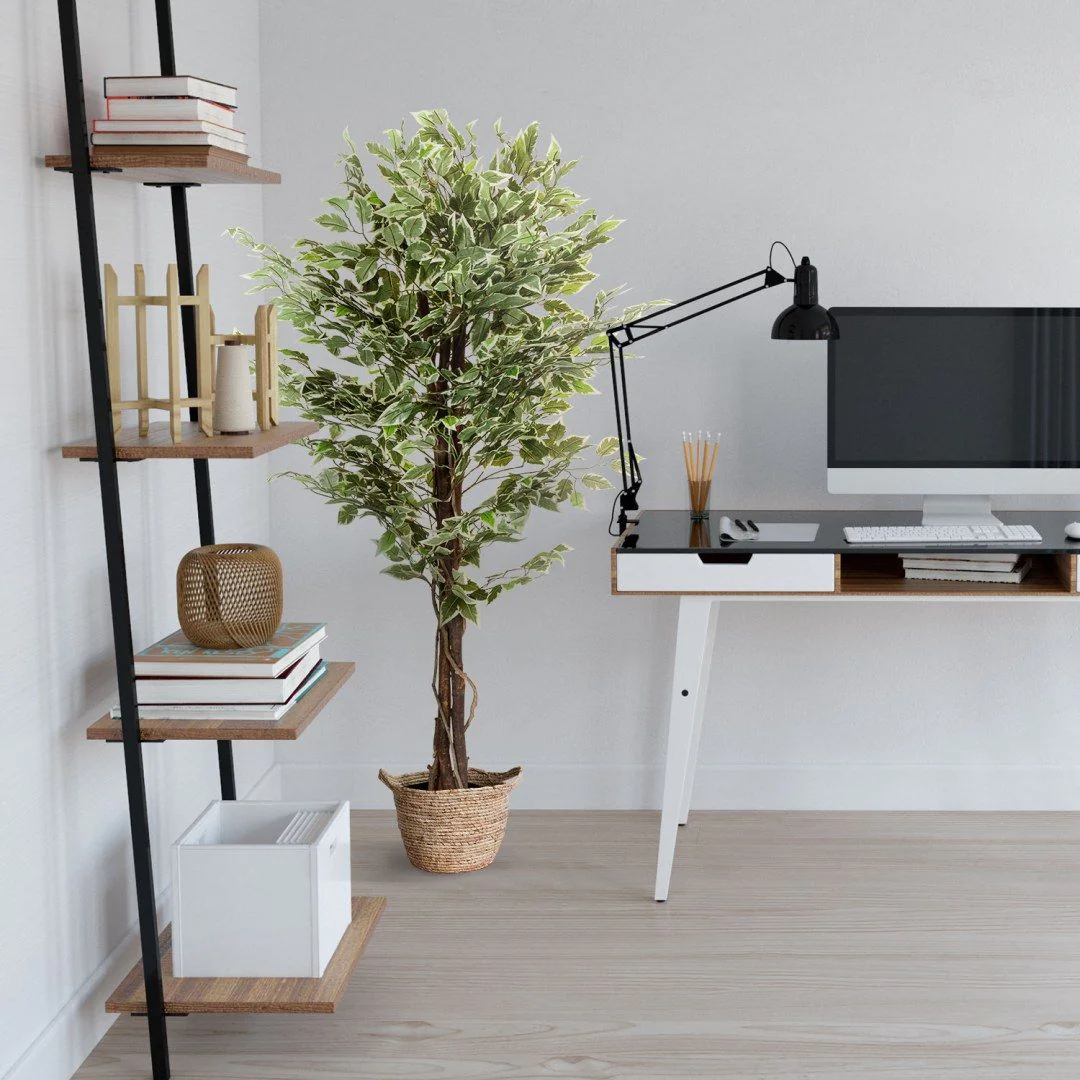 Kunstpflanze FICUS von HJH - Produktbild 6 von 8