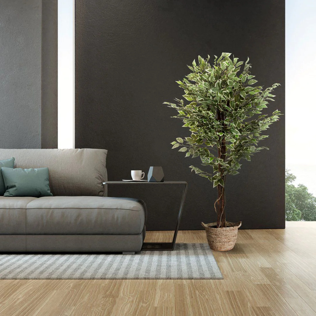 Kunstpflanze FICUS von HJH - Produktbild 7 von 8