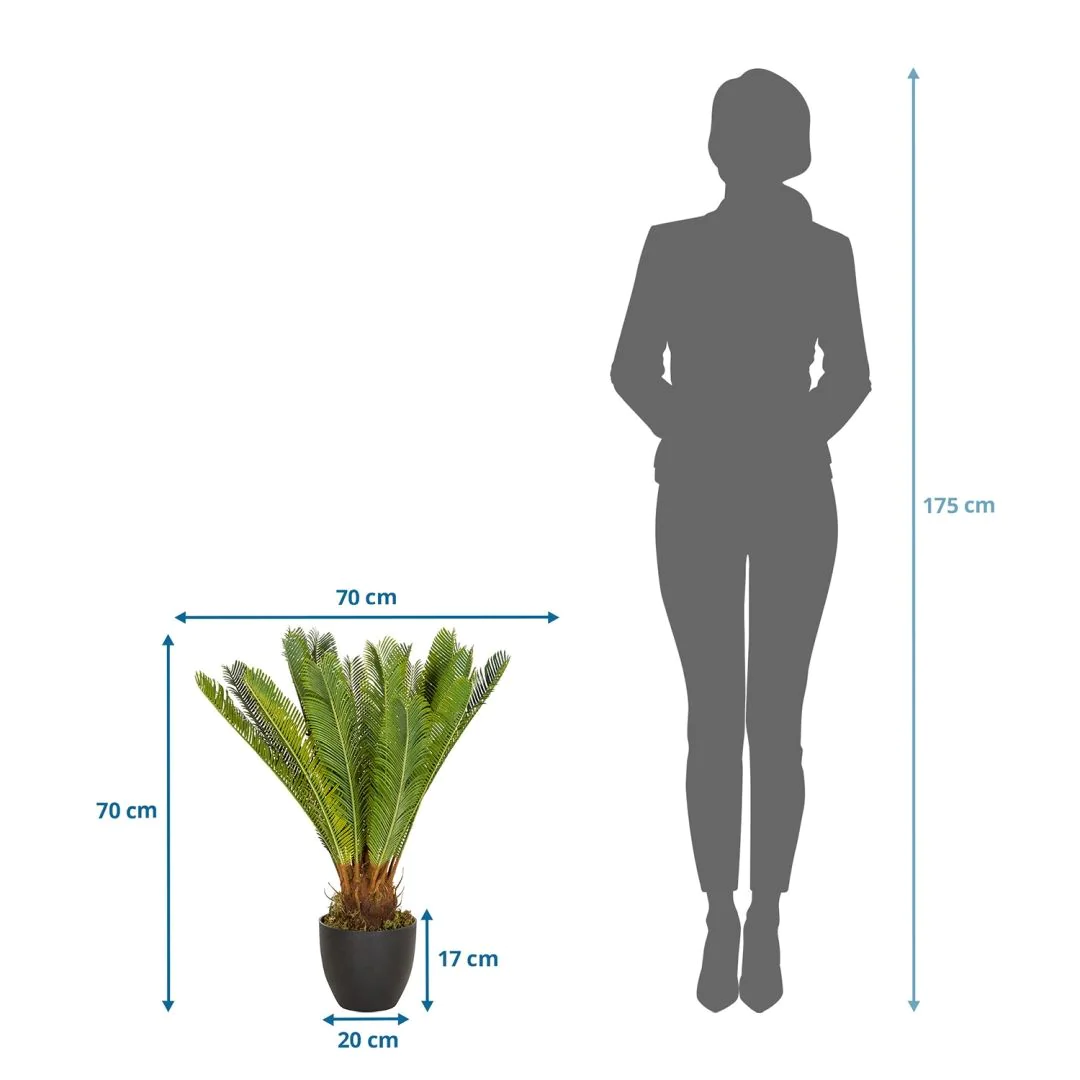 Kunstpflanze CYCAS von HJH - Produktbild 9 von 9