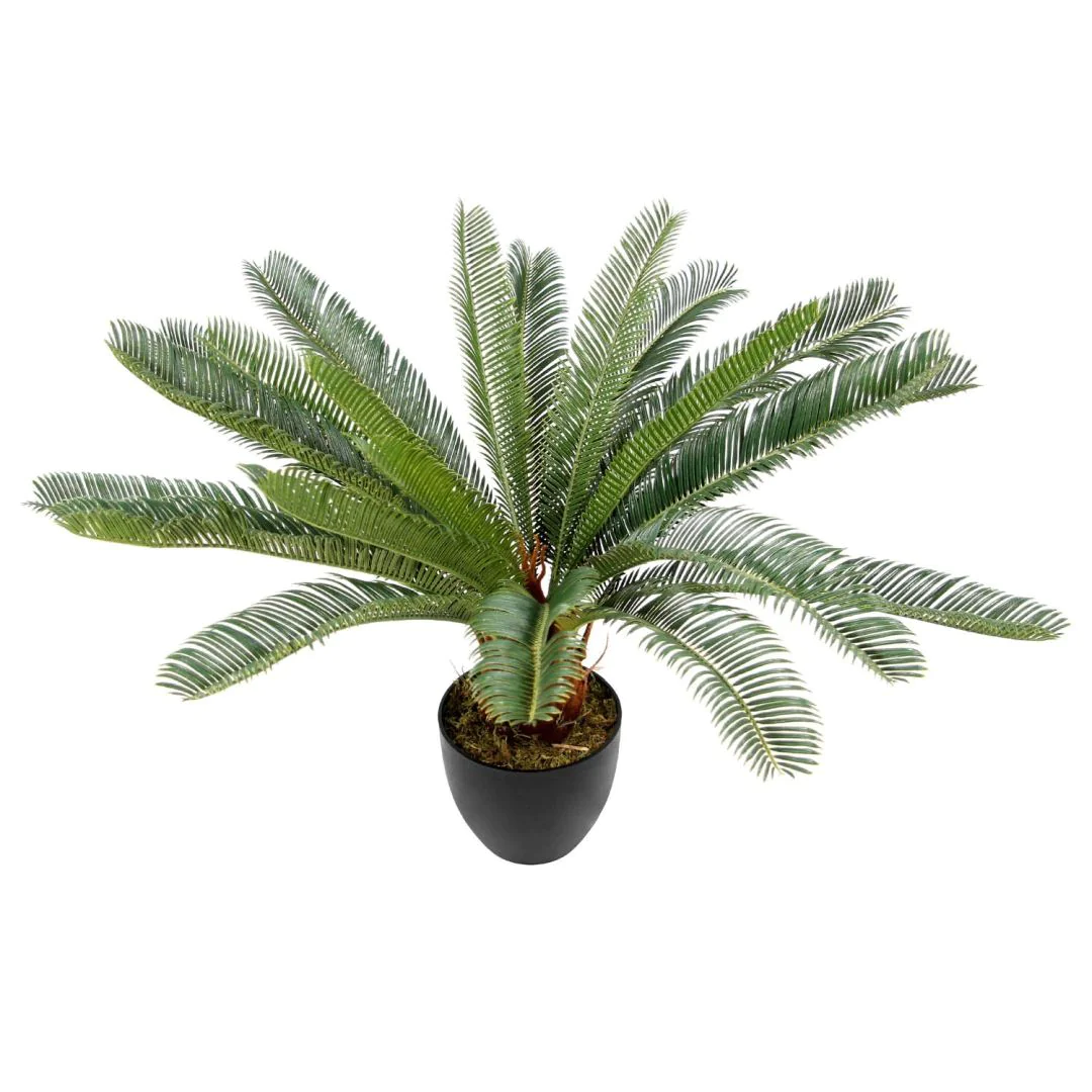 Kunstpflanze CYCAS von HJH - Produktbild 7 von 9