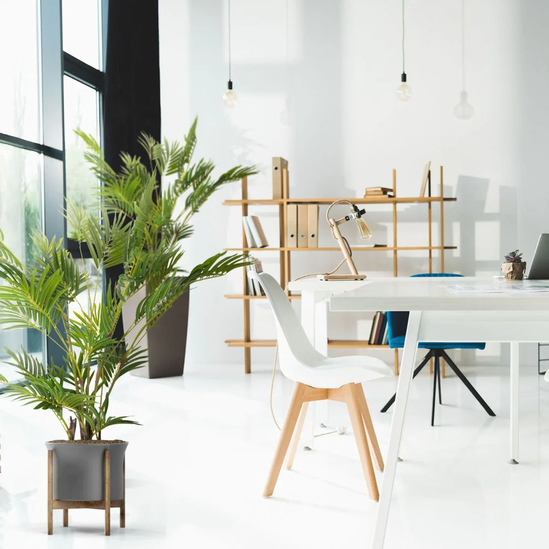 Kunstpflanze ARECA I von HJH - Produktbild 3 von 6