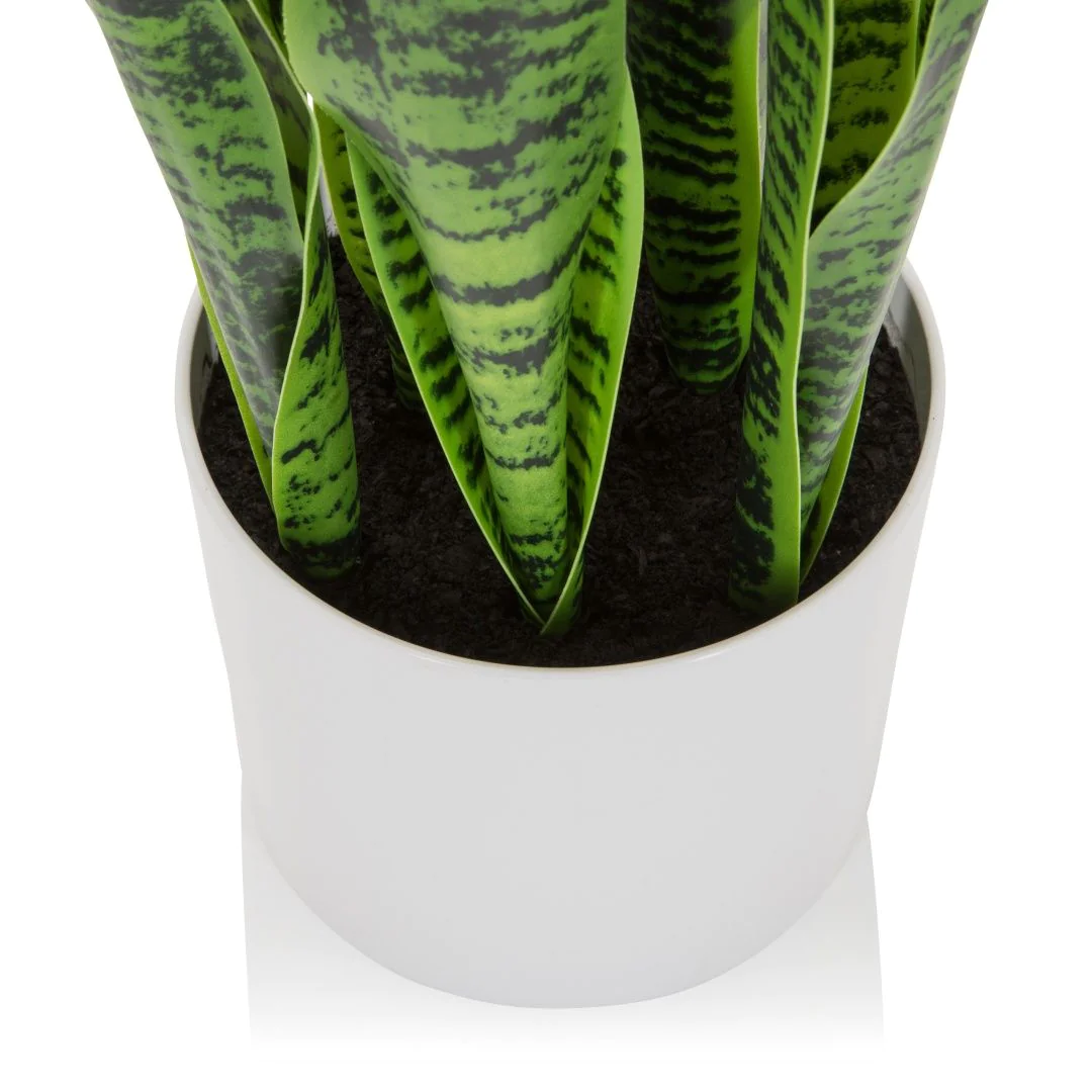 Kunstpflanze SANSEVIERIA von HJH - Produktbild 2 von 7