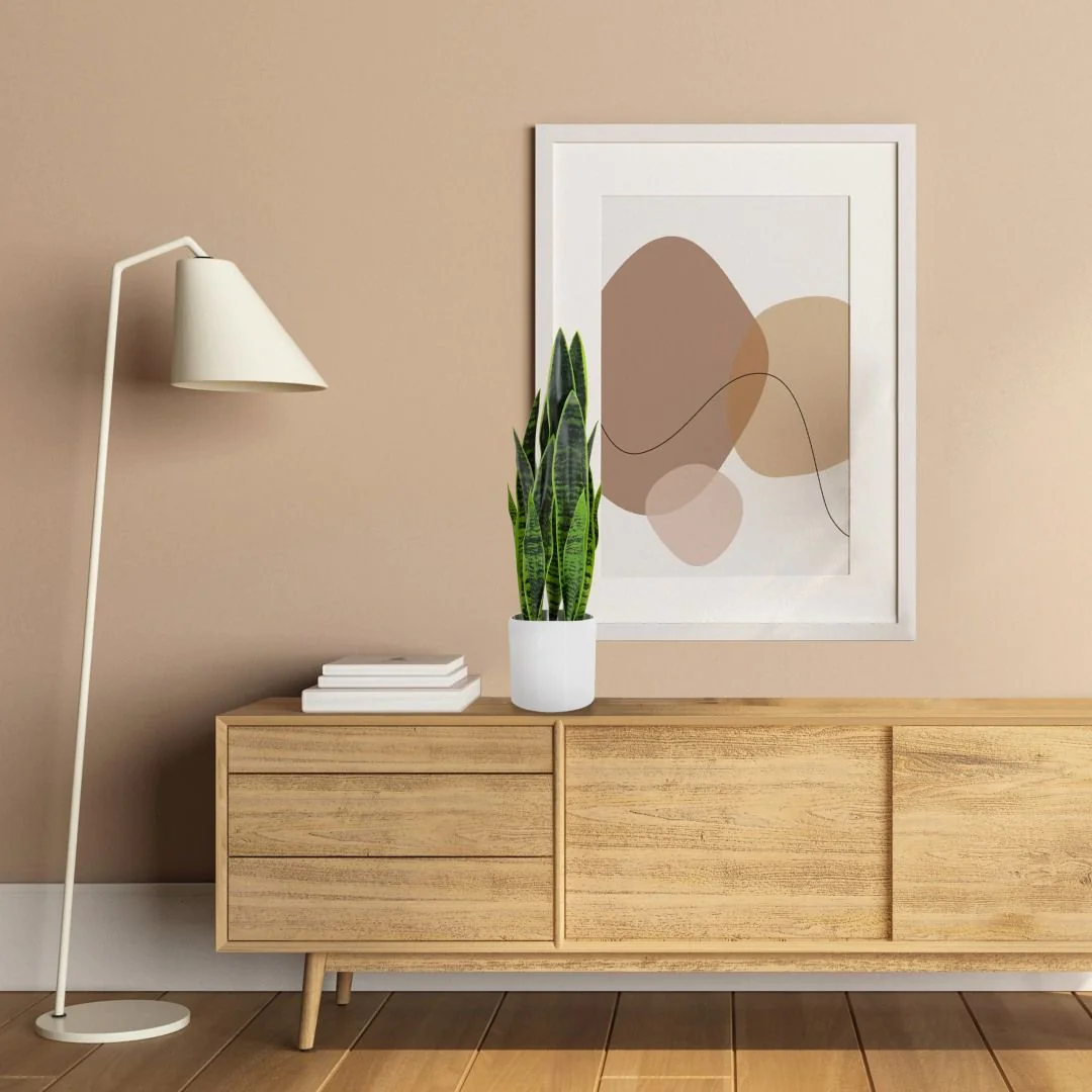 Kunstpflanze SANSEVIERIA von HJH - Produktbild 4 von 7