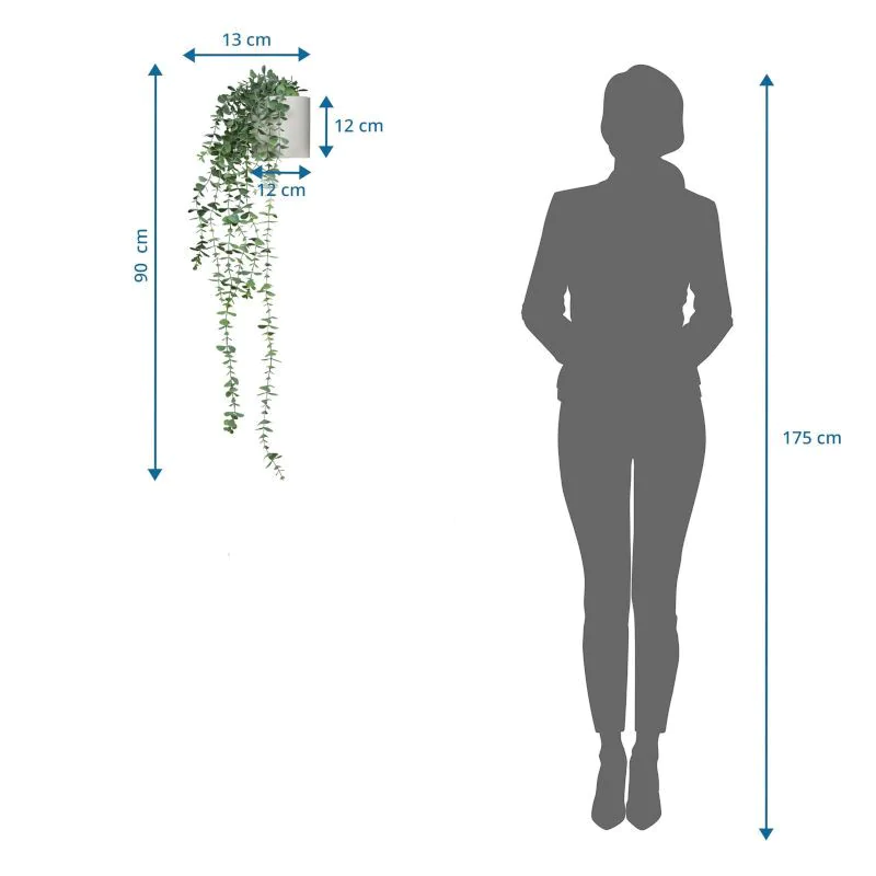 Kunstpflanze EUCALYPTUS CLIMB 1 von HJH - Produktbild 6 von 6