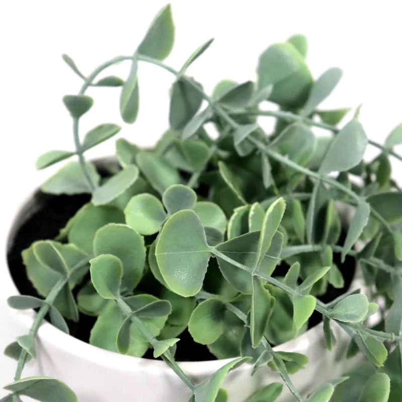 Kunstpflanze EUCALYPTUS CLIMB 1 von HJH - Produktbild 2 von 6