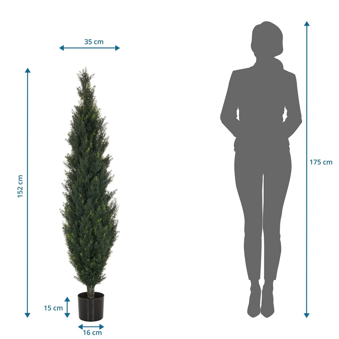 Kunstpflanze CEDRUS von HJH - Produktbild 7 von 7