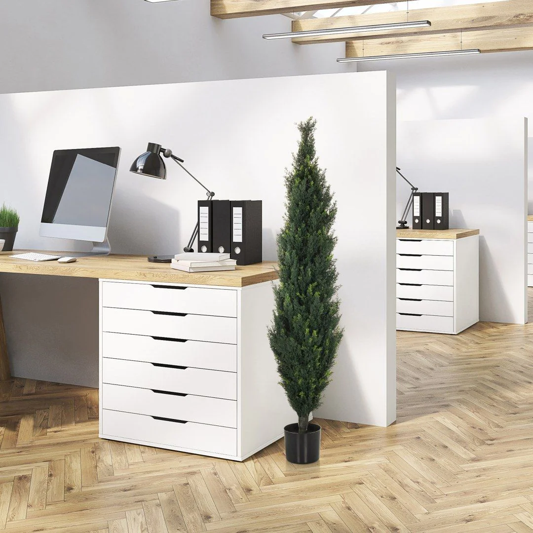 Kunstpflanze CEDRUS von HJH - Produktbild 5 von 7
