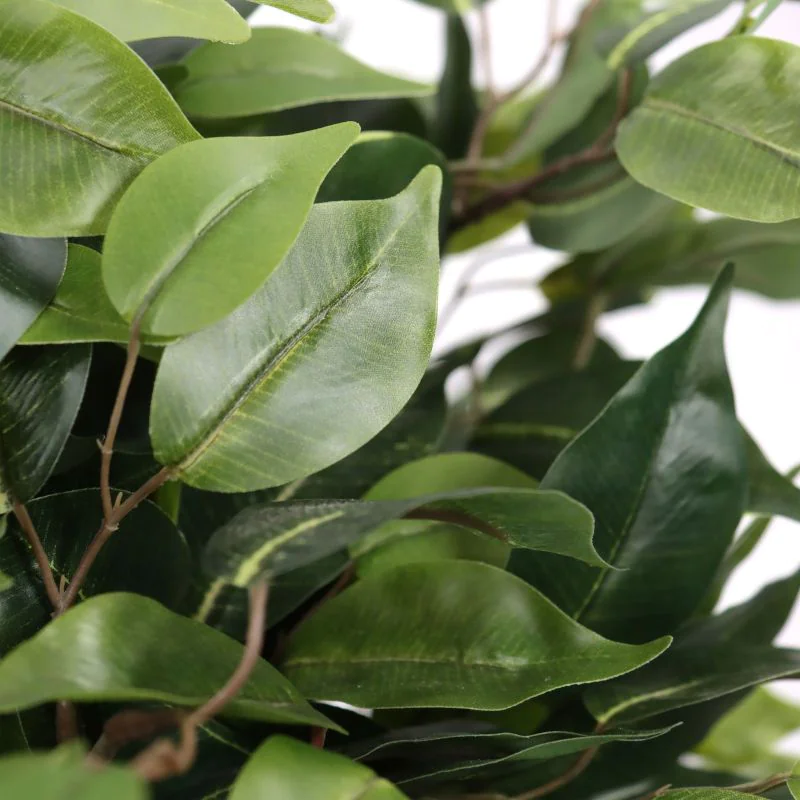 Kunstpflanze FICUS II von HJH - Produktbild 2 von 7