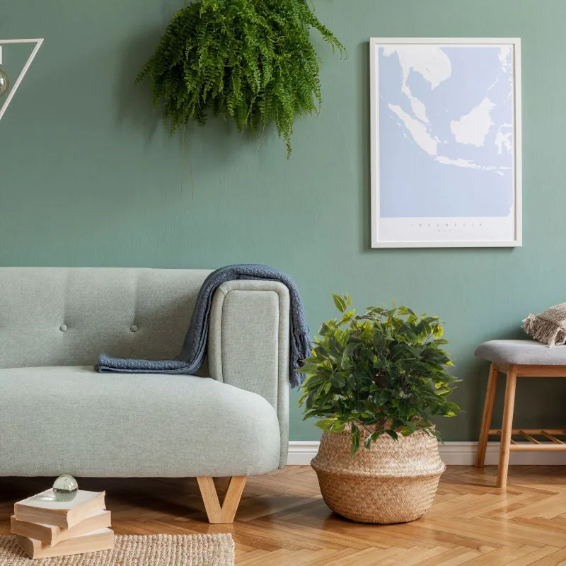 Kunstpflanze FICUS II von HJH - Produktbild 5 von 7