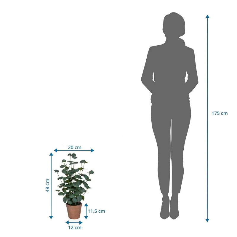 Kunstpflanze Eucalyptus von HJH - Produktbild 5 von 5