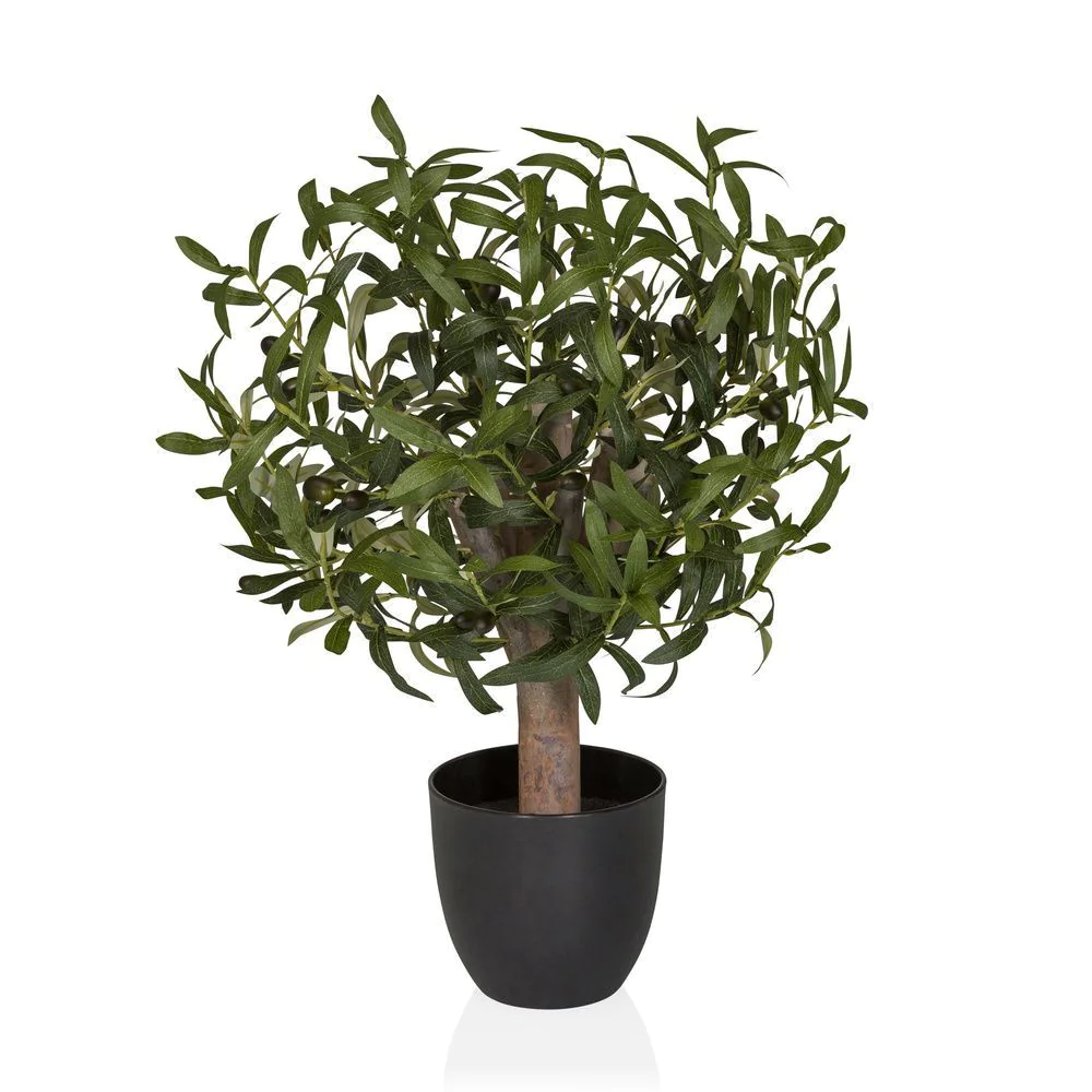 Kunstpflanze Olive S - HJH-871066