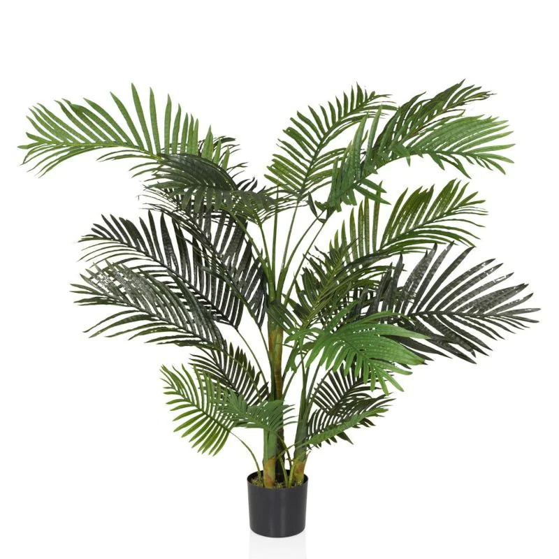 hängepflanze monstera Monstera Monkey Leaf main image 1