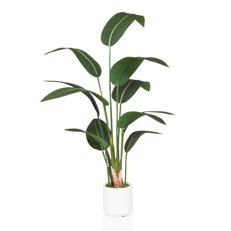 mint monstera adansonii Monstera Adansonii Mint – Scindapsus Borneo main image 1