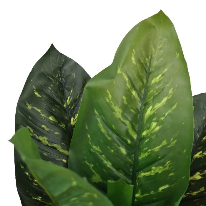 Kunstpflanze DIEFFENBACHIA von HJH - Produktbild 2 von 7