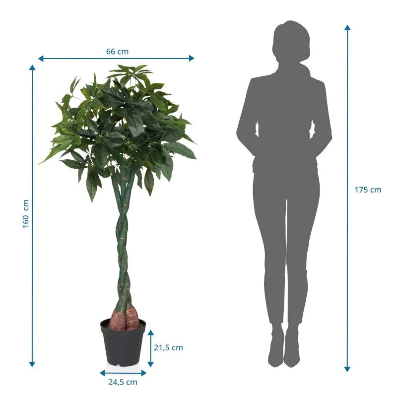 Kunstpflanze PACHIRA von HJH - Produktbild 5 von 5