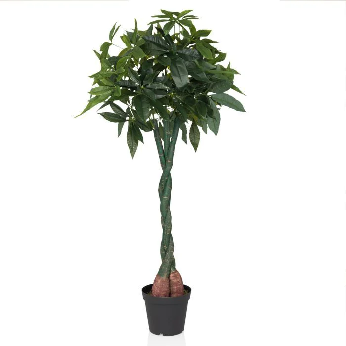 Kunstpflanze PACHIRA - HJH-872007