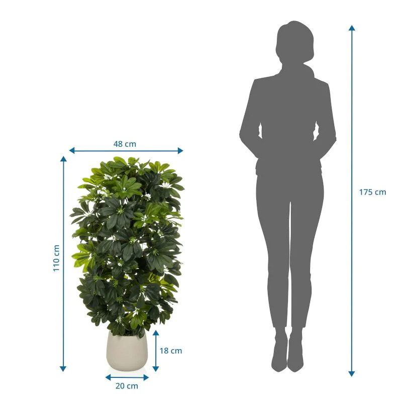 Kunstpflanze Schefflera von HJH - Produktbild 6 von 6