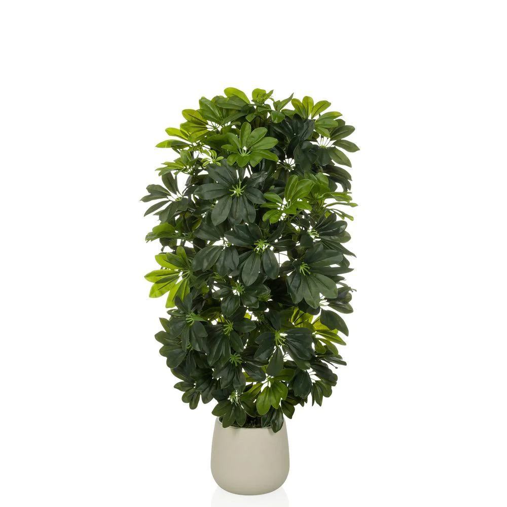 Kunstpflanze Schefflera - HJH-872009