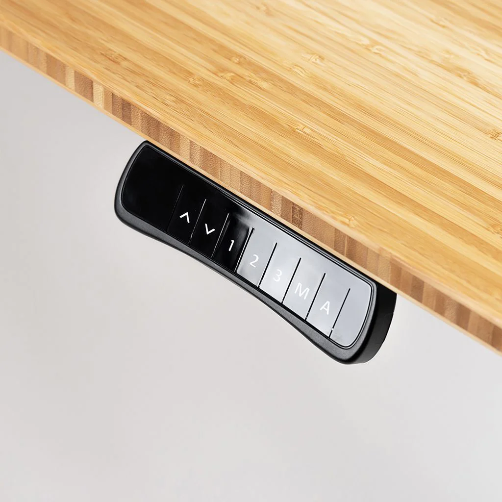 lautsprecher bambus MagSpeaker 