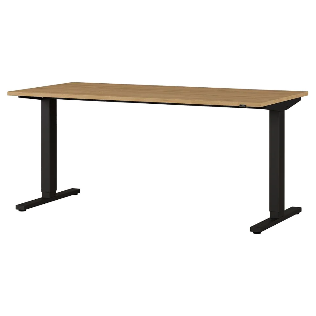 Höhenverstellbarer Schreibtisch 4242 - GER-4242