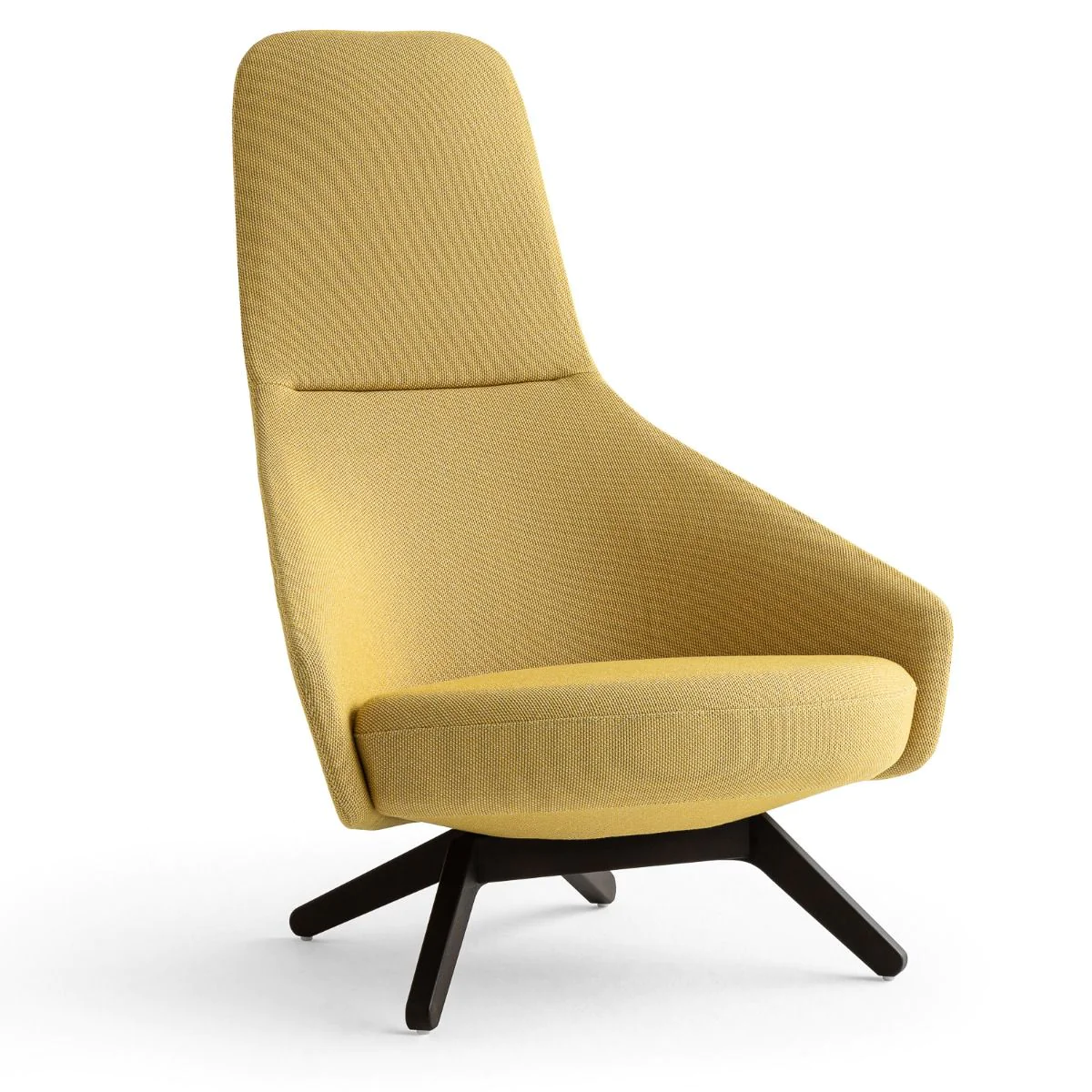 Loungesessel Palo H - NOT-PA-1-DD