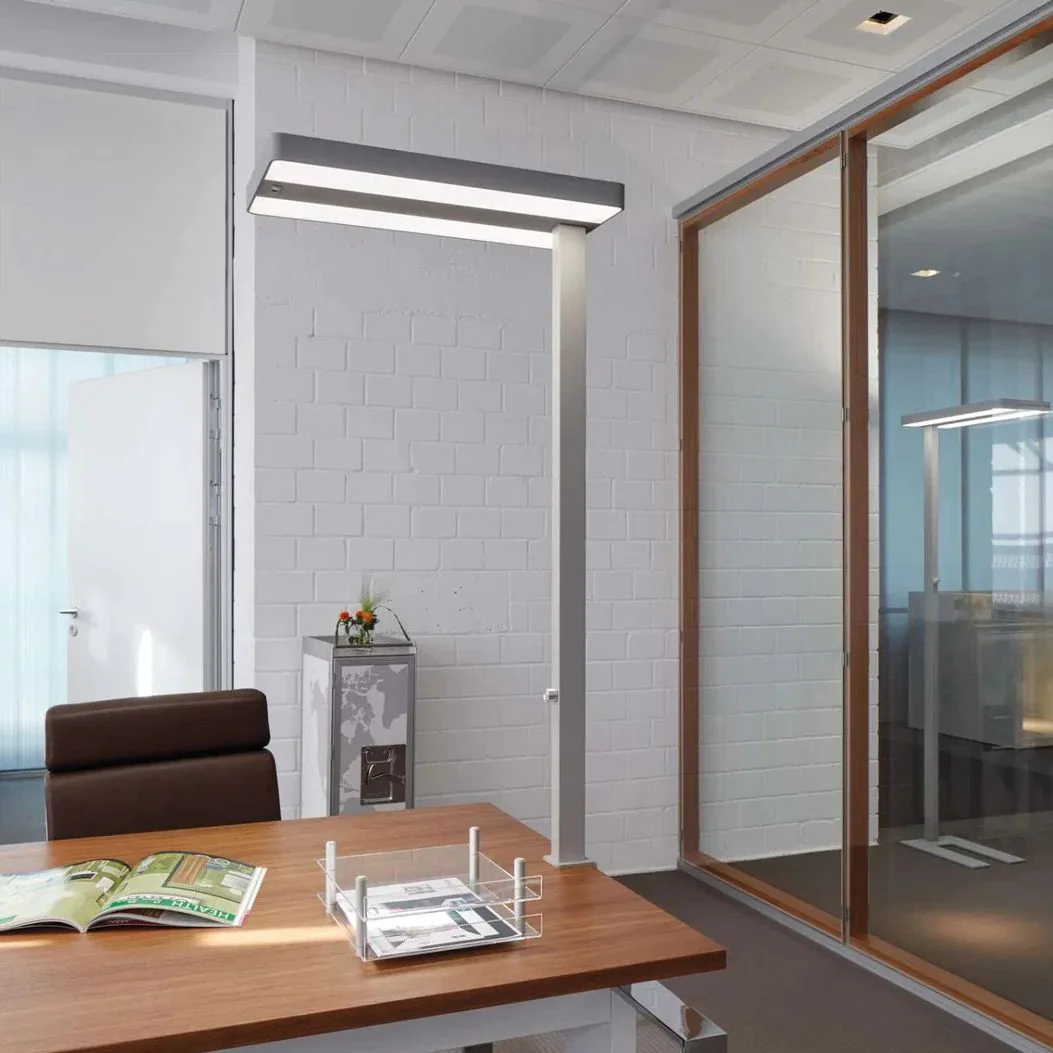 Tischleuchte LED juvis sensor dimmbar von Maul - Produktbild 2 von 9