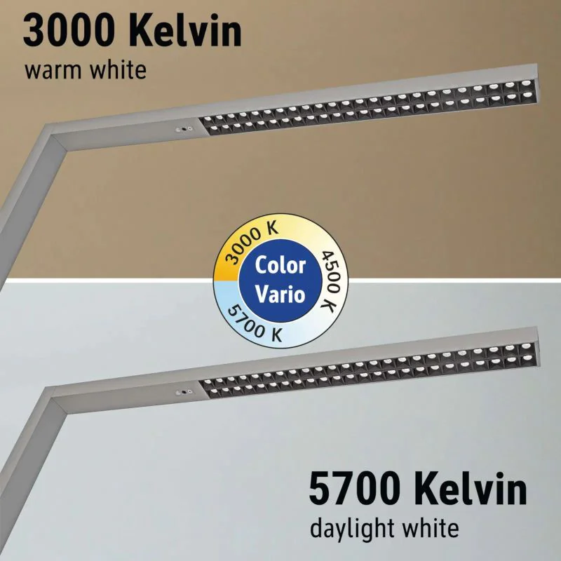 Tischleuchte LED sirius colour vario sensor dimmbar von Maul - Produktbild 3 von 10