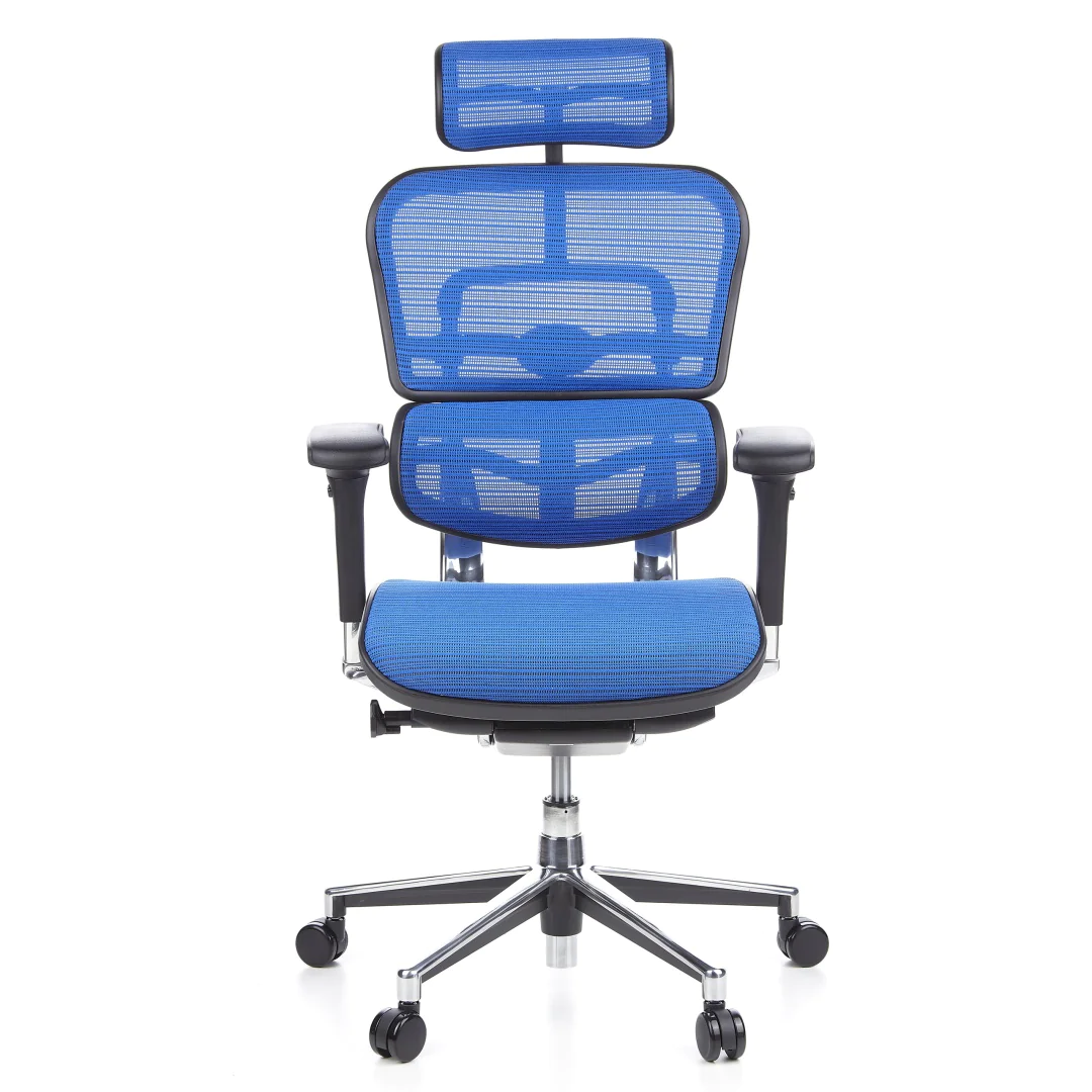 HJH Chefsessel ERGOHUMAN Netzstoff in Blau
